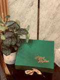 Chocolate & Nuts Gift Hamper Box – Premium Sweet Gift for Any Occasion