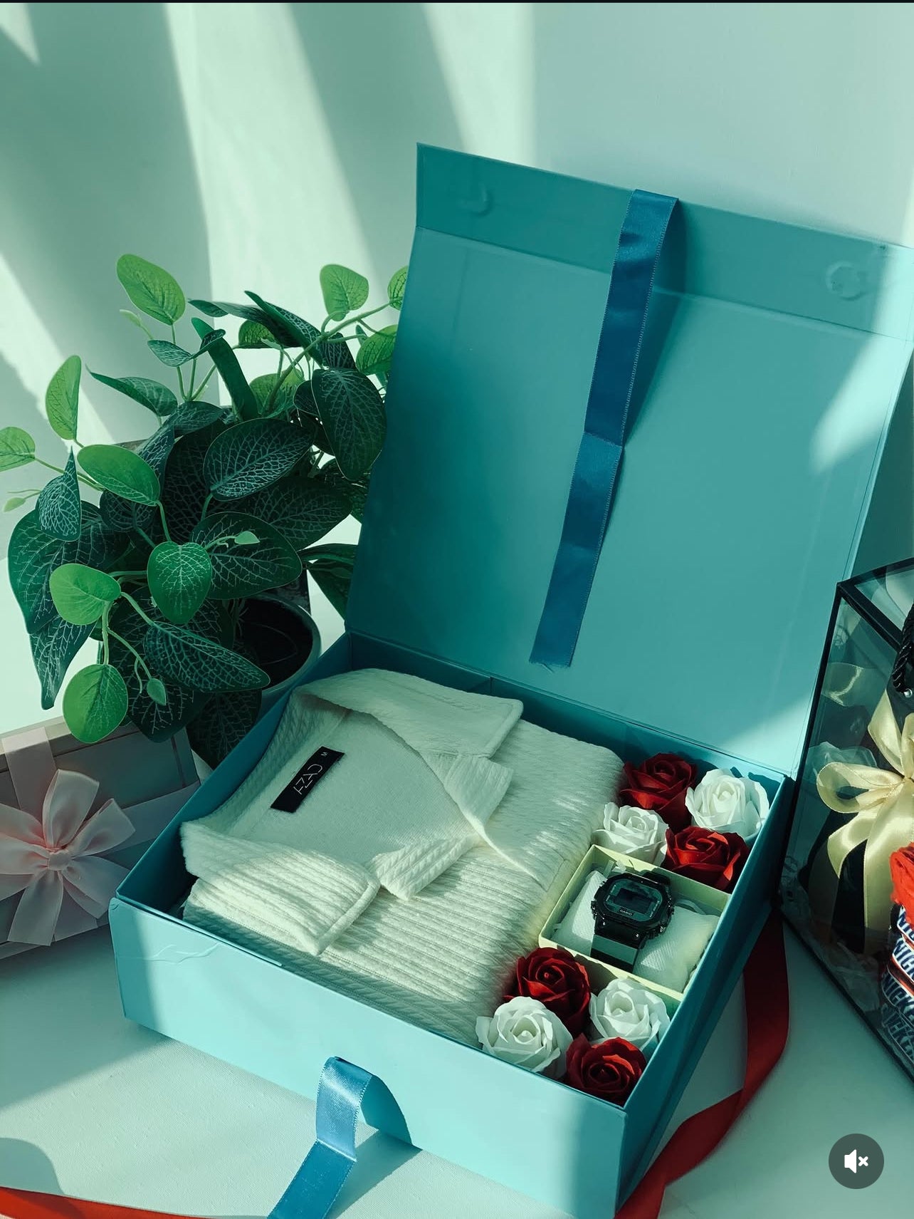 Shirt and Watch Hamper